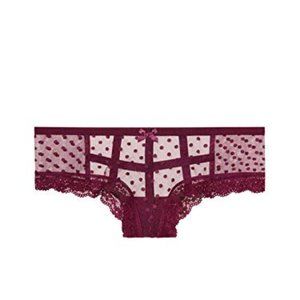 Sexy Kir Polka Dots Mesh & Lace Trim Cheeky Panty